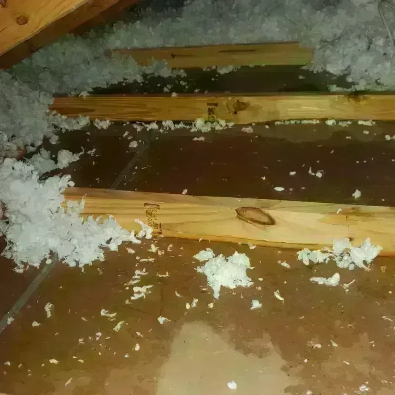 Attic Water Damage in Lewiston, MI