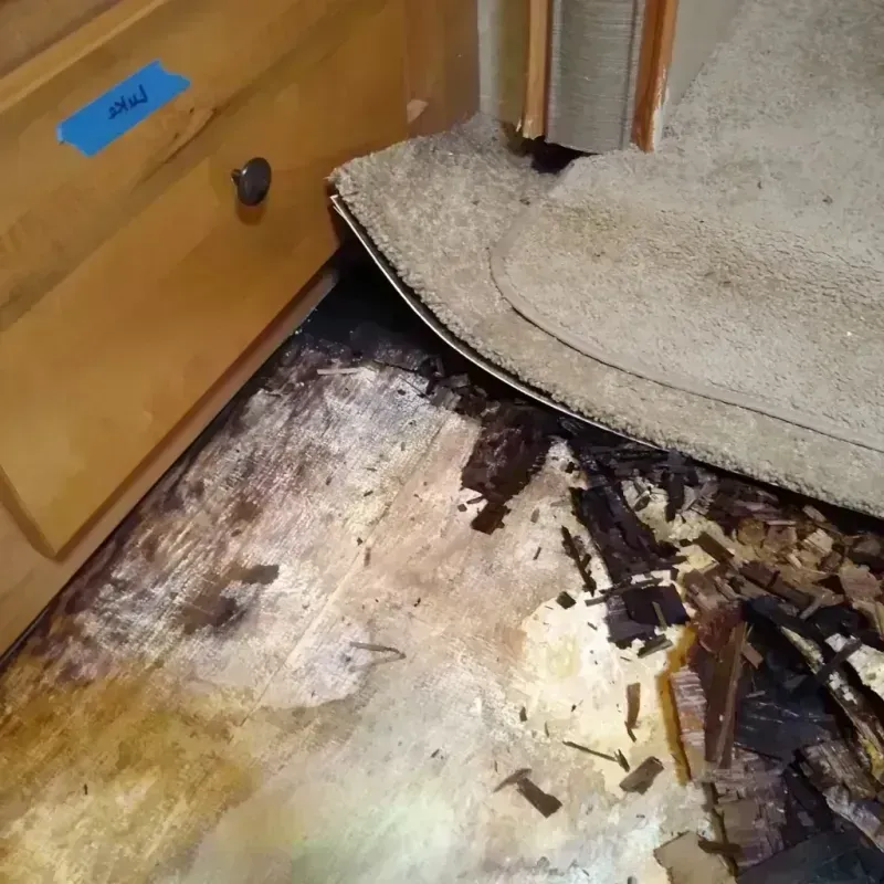 Wood Floor Water Damage in Lewiston, MI